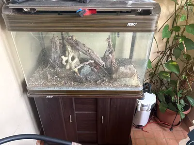 Aquarium for fish