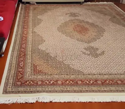 Large Traditional Arabian/persian-Style Area Rug - flawless 6x3 M