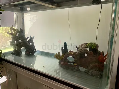 Large Glass Aquarium Tank with Cabinet Stand - Good Condition - حوض سمك كبير