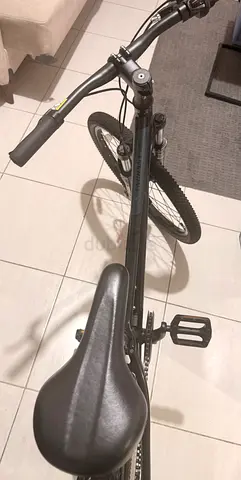 LIV enchant mountain bike