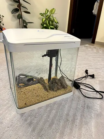 Small desktop aquarium tank with filter and accessories