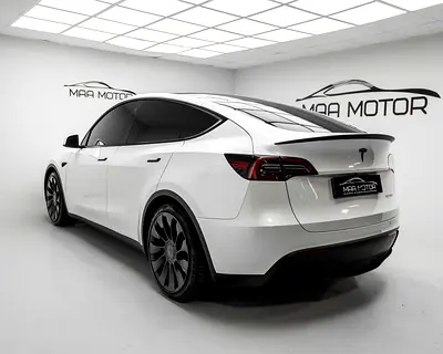 2024 Tesla MODEL Y — фото 6