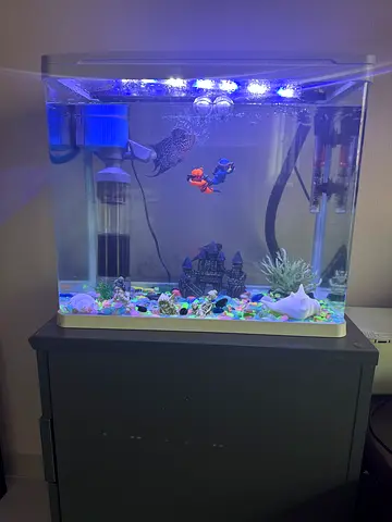 60L Aquarium Tank with LED Light and Filter