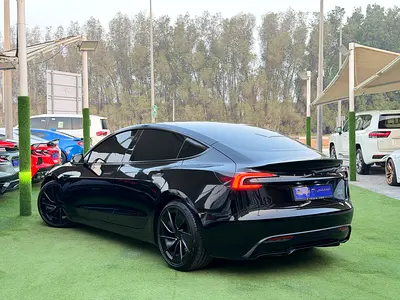 2024 Tesla MODEL 3 照片 4