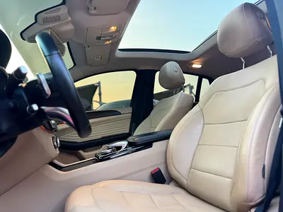 2018 Mercedes-BENZ GLE 缩略图 13