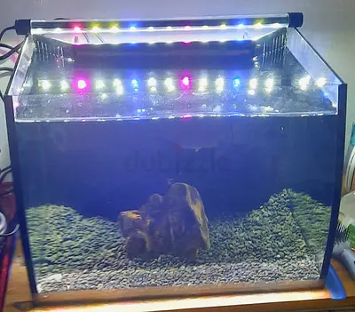 Aquarium fish tank(40cm)