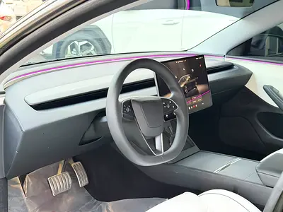 2024 Tesla MODEL 3 照片 9