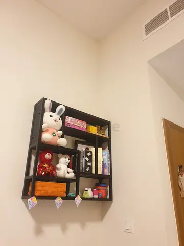 Modern Wall Mounted Display Shelf