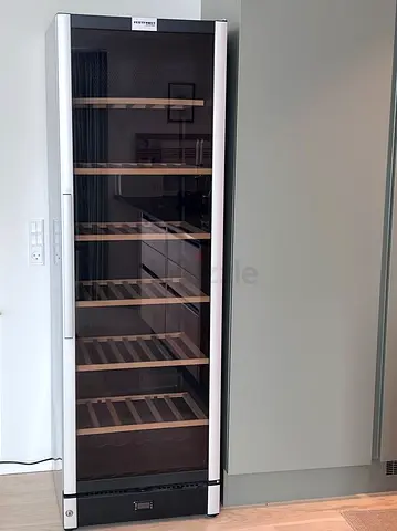Large capacity wine beverage fridge 191 bottels w185
