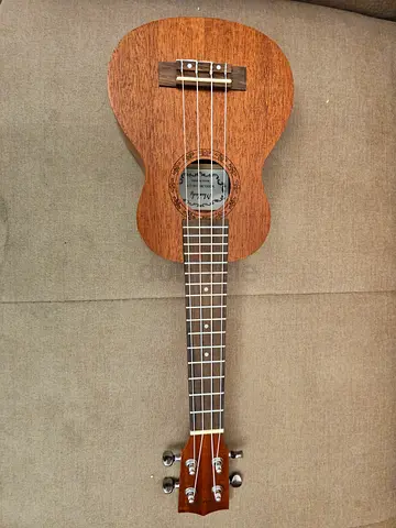 Used Concert Ukulele - Mahogany Top, Good Condition