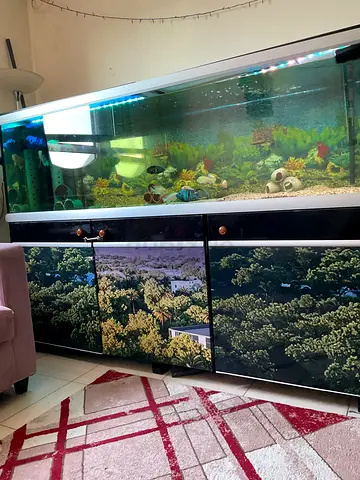 aquarim tank full accessories