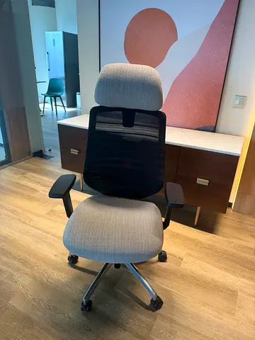 Office chair with back support