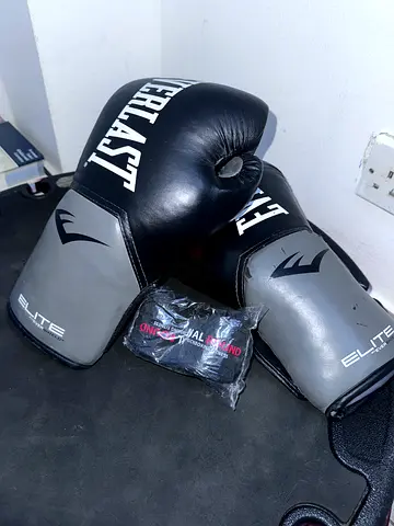 Everlast boxing gloves