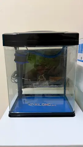 Aquarium Fish Tank with Filter and LED Hood - 20L