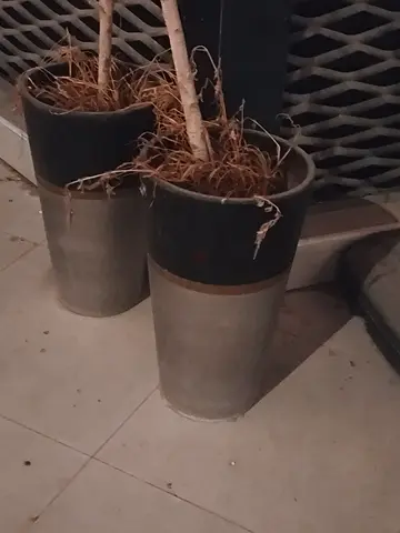 Pair of tall outdoor plant pots (metal look) - used