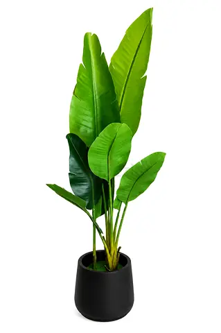 Tall Artificial Bird of Paradise Plant in Black Pot - Perfect for Home/Office Decor