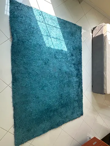 Blue area rug/carpet