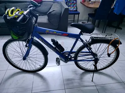 26-inch bike with basket and accessories.