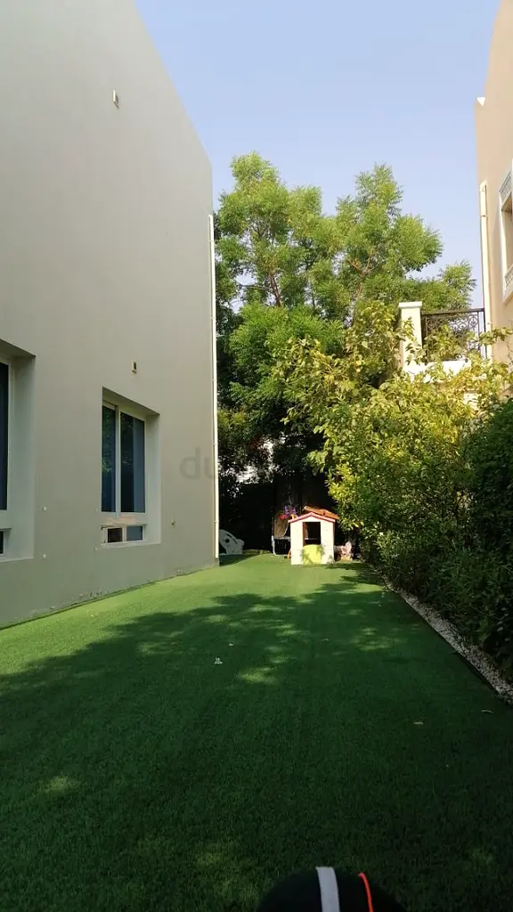 DPV_View_Image_0