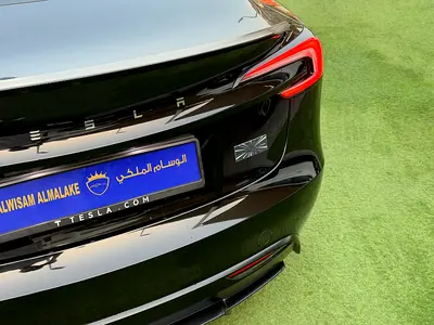 2024 Tesla MODEL 3 照片 7
