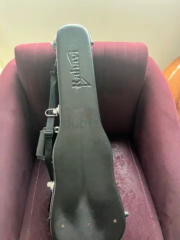 Professional 4/4 violi