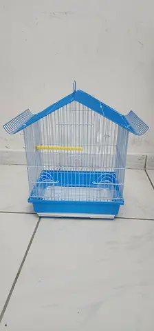 Bird cage new