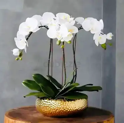 Made-to-Order Luxury Artificial Orchid Vase for Home & Office