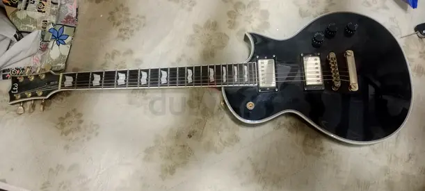 Electric guitar and Unit