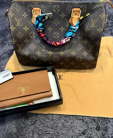 LV Speedy and Prada Wristlet Wallet