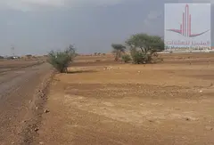 Directly from the Owner - Residential Land for Sale in Al Manama 4 - Ajman