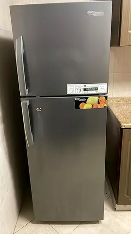 2 Door Refrigerator for Sale
