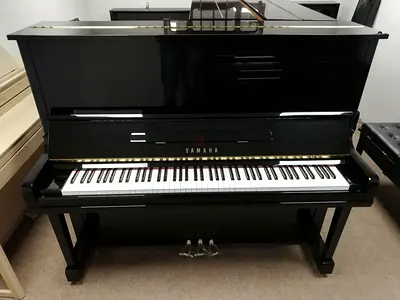 Yamaha  U3 upright piano in polished black — well-maintained