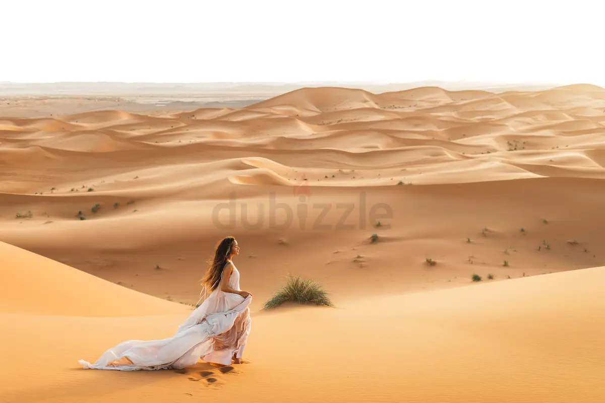 DPV_View_Image_4