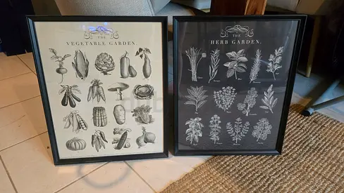 Set of frames