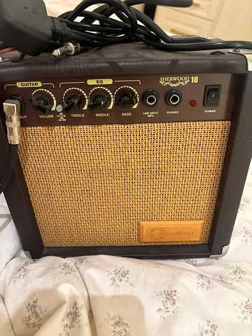 Sherwood 10W Practice Guitar Amplifier - Compact and Clean Tone