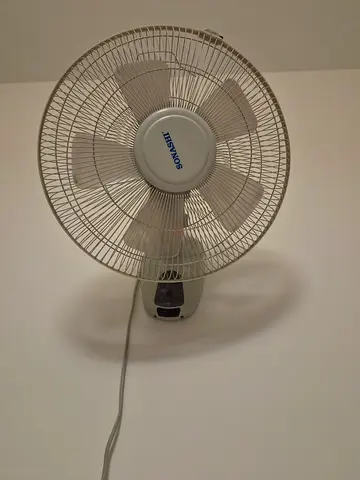 Wall fan