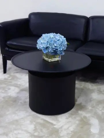 Pedro Black Aluminum Coffee Table