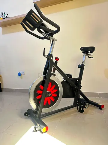 Indoor Spin Exercise Bike with Adjustable Seat and Resistance
