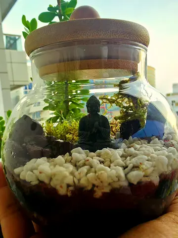 Handmade Glass Terrarium Jar with Mini Buddha and Succulent Setup