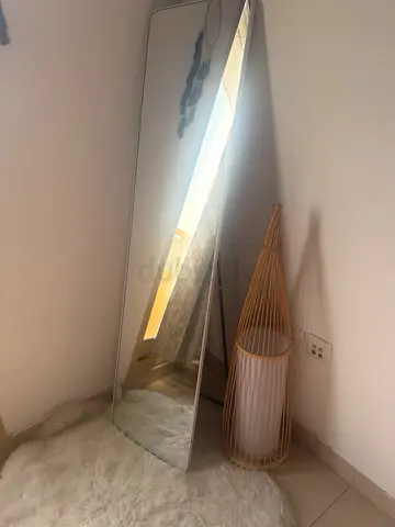 Modern Full Length Standing Mirror and Decorative Floor Lamp