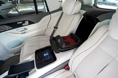 2024 Mercedes-Maybach GLS-CLASS 照片 12