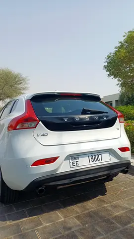2015 Volvo V-CLASS 照片 7