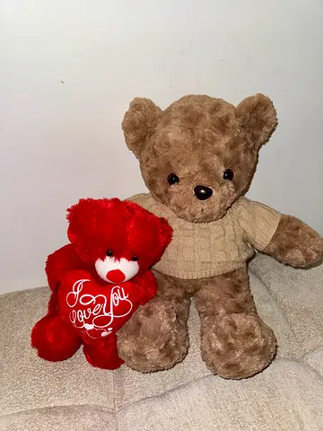 Toy
