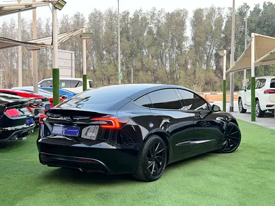 2024 Tesla MODEL 3 照片 5