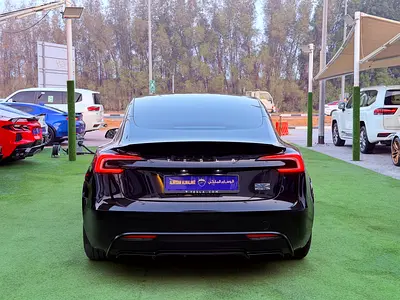 2024 Tesla MODEL 3 照片 6