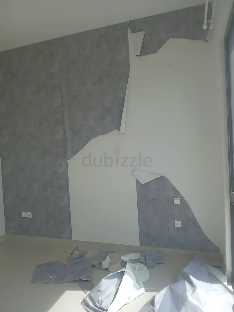 DPV_View_Image_2