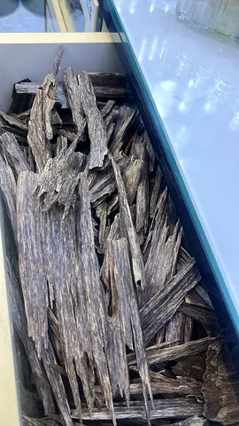 Natural Agarwood (Oud) Wood Chips - Pure Resinous Pieces