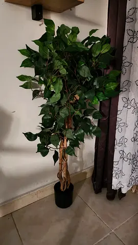 Tall Artificial Potted Ficus Tree - Good Condition