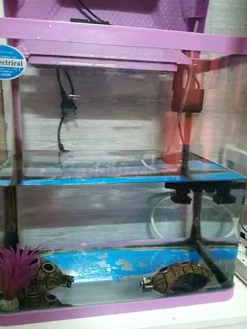 Used 2-Tier Small Fish Tank / Aquarium with Filter and Decor