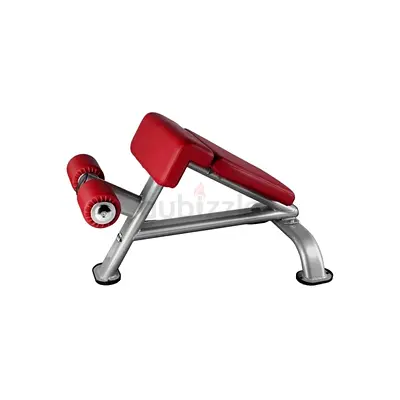 Roman Chair L840 - Brand New